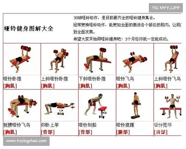 AI健身助手实现动作矫正与处方生成，推动健身服务个性化普及。